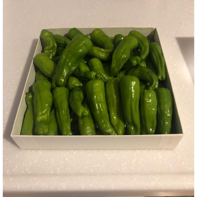 無農薬 ししとう 200グラム 食品/飲料/酒の食品(野菜)の商品写真