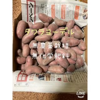 【タワラヨーデル】無農薬栽培・無化学肥料・小玉の紫皮のじゃがいも(野菜)