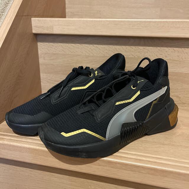 pumapuma