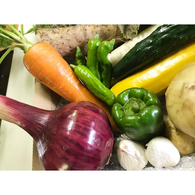 野菜詰め合わせセット　7/5採りたて野菜を60サイズ 食品/飲料/酒の食品(野菜)の商品写真