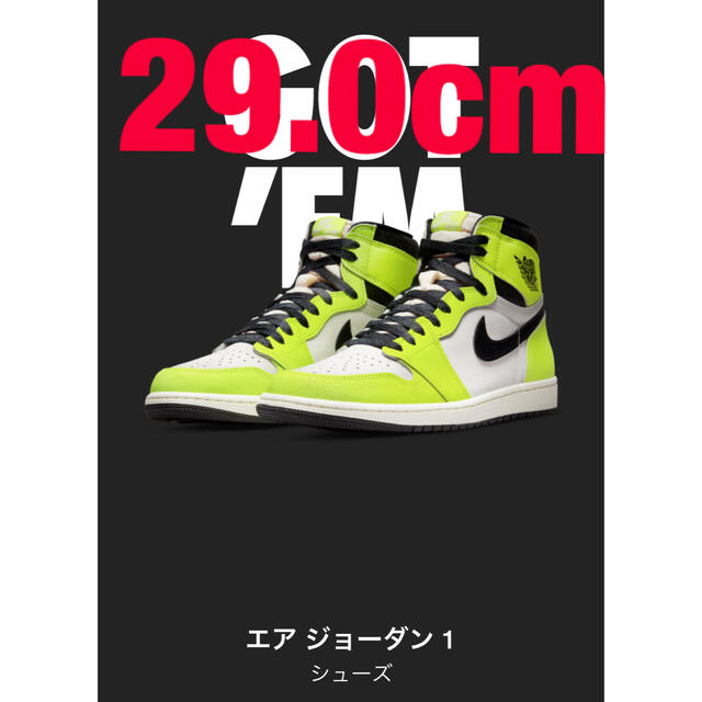 Nike Air Jordan 1 High ナイキ エア ジョーダン 29