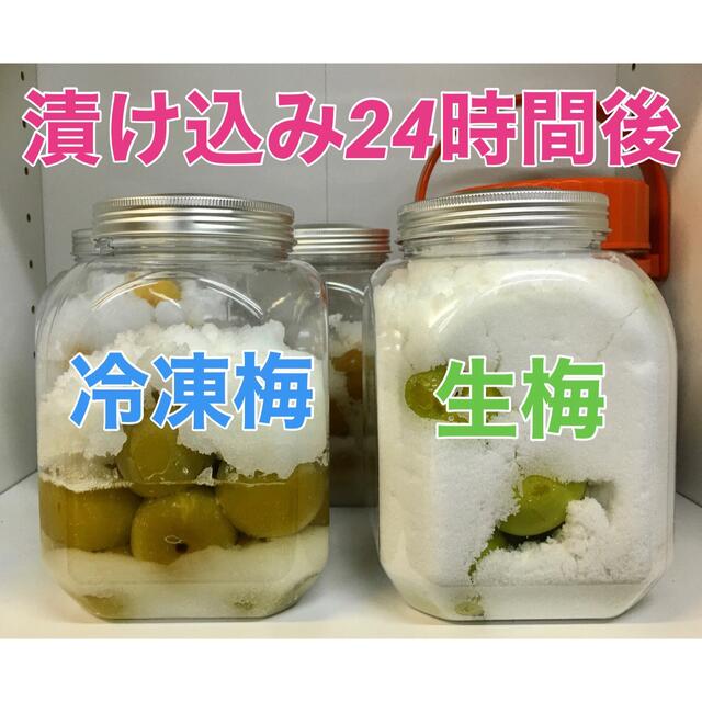 r003⚠️クール便込 青梅「冷凍南高梅」大玉3L 2kg シロップ 梅酒用  食品/飲料/酒の食品(フルーツ)の商品写真