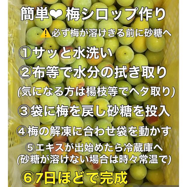 r003⚠️クール便込 青梅「冷凍南高梅」大玉3L 2kg シロップ 梅酒用  食品/飲料/酒の食品(フルーツ)の商品写真