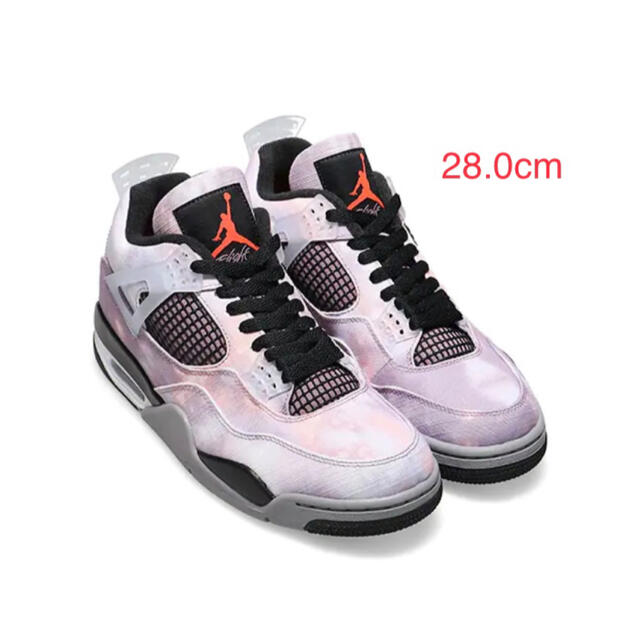 Nike Air Jordan 4 Amethyst Wave 28.0cm