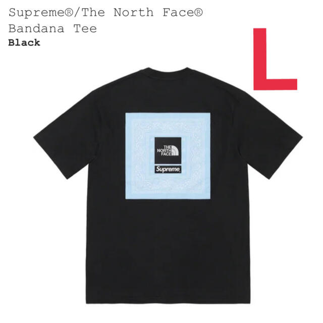 Supreme(シュプリーム)のSupreme® The North Face®  Bandana Tee メンズのトップス(Tシャツ/カットソー(半袖/袖なし))の商品写真