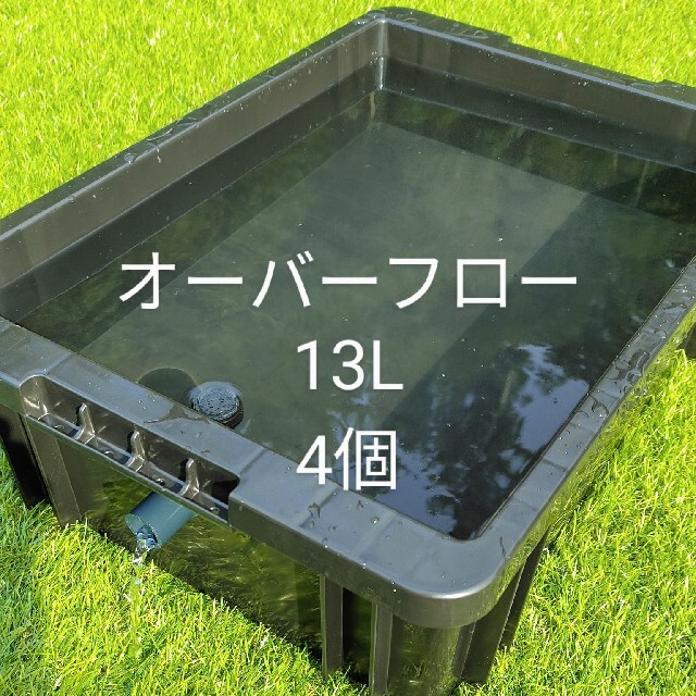 メダカ容器　13L　4個　オーバーフロー機能