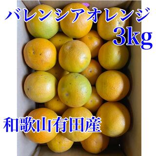 和歌山有田産　バレンシアオレンジ　3kg（送料込み）(フルーツ)