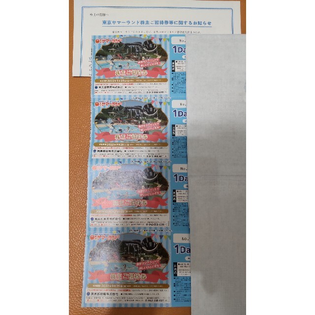 最大61%オフ! 即日発送 15枚東京サマーランド 春秋限定 1DAYパス