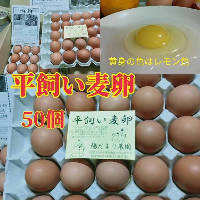 平飼い麦卵 50個 紙トレー 食品/飲料/酒の食品(野菜)の商品写真