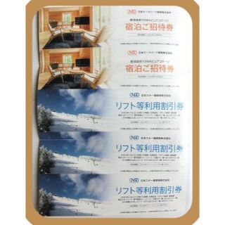 日本駐車場開発 株主優待 那須高原TOWAピュアコテージ宿泊ご招待券2枚 リフト(宿泊券)