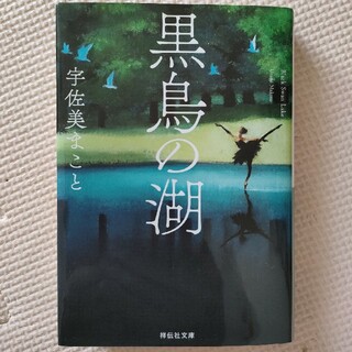 黒鳥の湖 文庫本(その他)