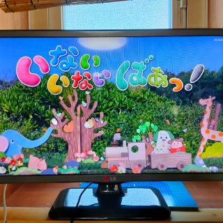 エルジーエレクトロニクス(LG Electronics)のLG 22LB491B 2015年製(テレビ)