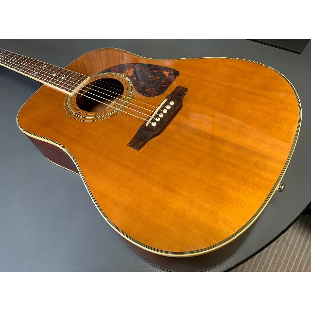 Epiphone DR-500M オール単板美品です