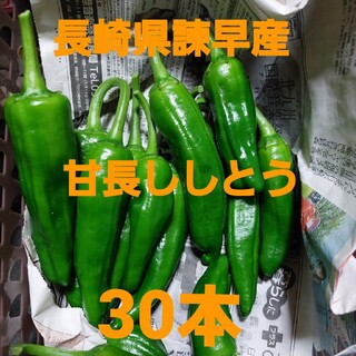 長崎県諫早産 甘長ししとう 30本(野菜)