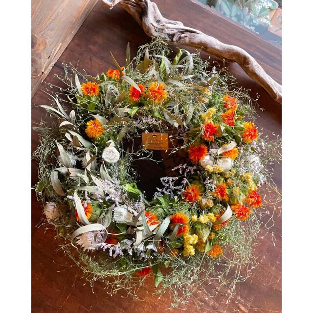 Safflower wreath〜紅花のリース○ドライフラワーリース ハンドメイドのフラワー/ガーデン(リース)の商品写真