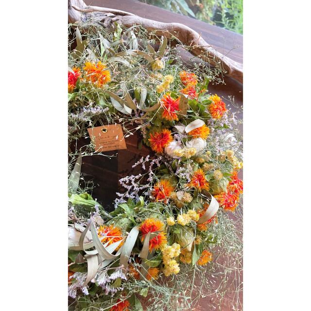 Safflower wreath〜紅花のリース○ドライフラワーリース ハンドメイドのフラワー/ガーデン(リース)の商品写真