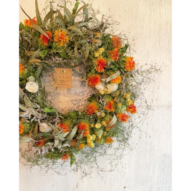 Safflower wreath〜紅花のリース○ドライフラワーリース ...
