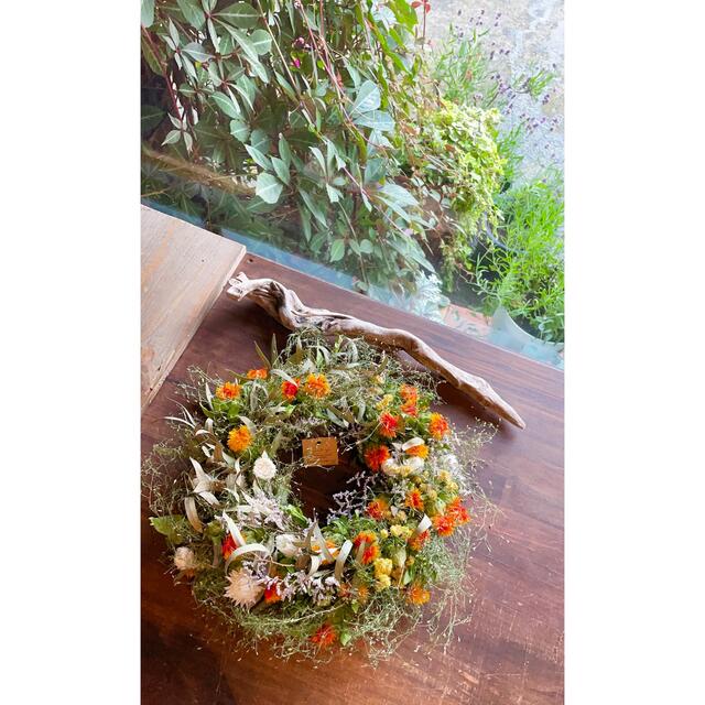 Safflower wreath〜紅花のリース○ドライフラワーリース ハンドメイドのフラワー/ガーデン(リース)の商品写真