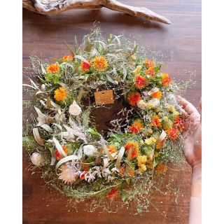 Safflower wreath〜紅花のリース○ドライフラワーリース(リース)