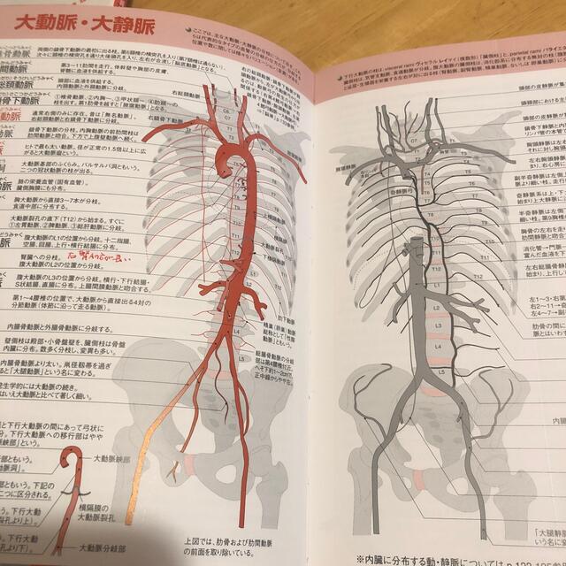 臓単 エンタメ/ホビーの本(健康/医学)の商品写真