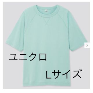 ユニクロ(UNIQLO)のUNIQLO ユニクロ クルーネックT Lサイズ(Tシャツ/カットソー(半袖/袖なし))