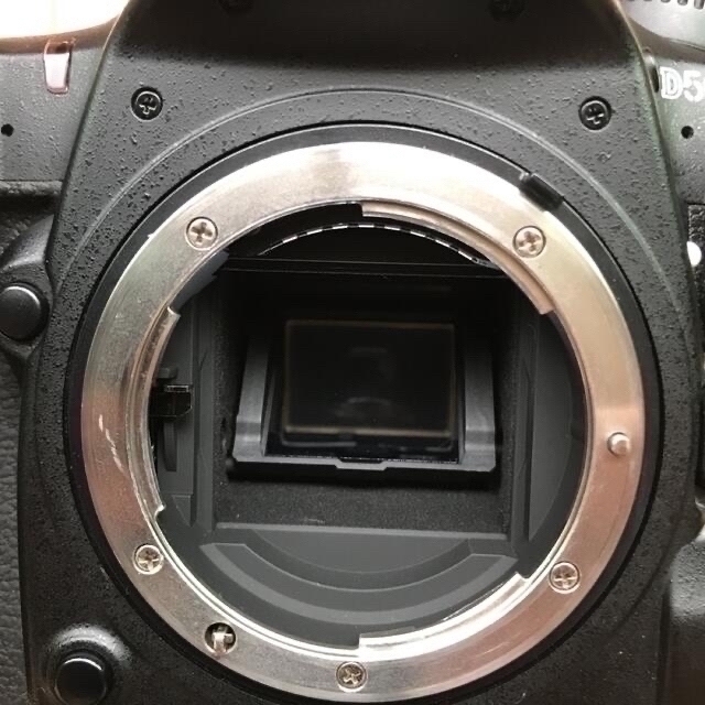 Nikon(ニコン)の最終値下げ‼️【点検清掃済】Nikon D500 ※アイピースは欠品です スマホ/家電/カメラのカメラ(デジタル一眼)の商品写真