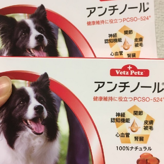 アンチノール60粒2箱 - 犬