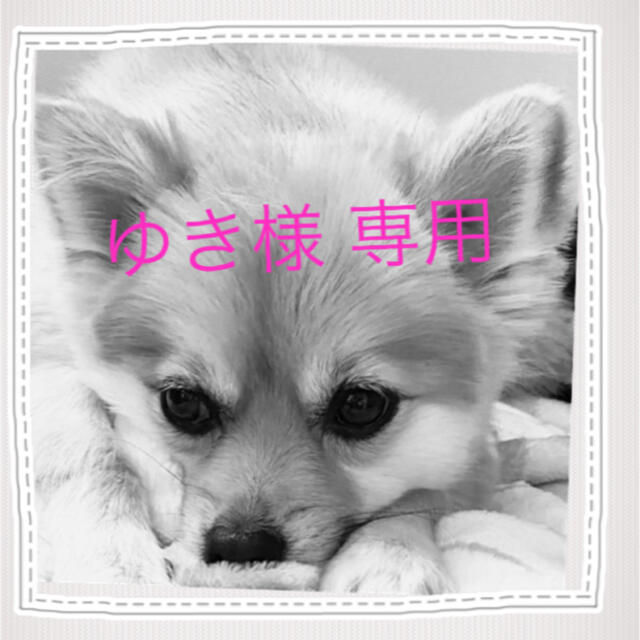 いなければ➷ ゆき様 専用です ⇎ペットタイ