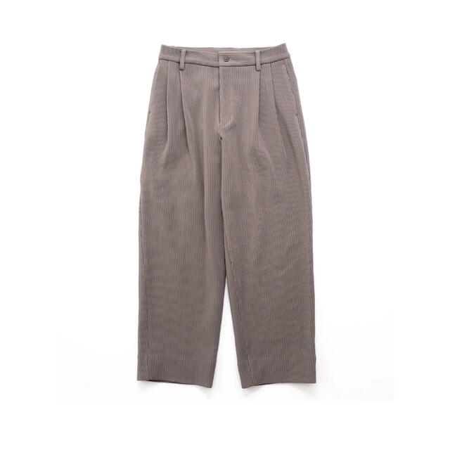 stein(シュタイン)のstein GRADATION PLEATS TWO TUCK TROUSERS メンズのパンツ(スラックス)の商品写真