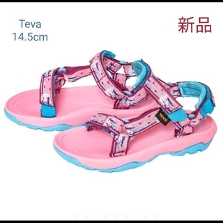 テバ(Teva)の新品TEVA テバ サンダル HURRICANE X LT 2 (14.5cm)(サンダル)