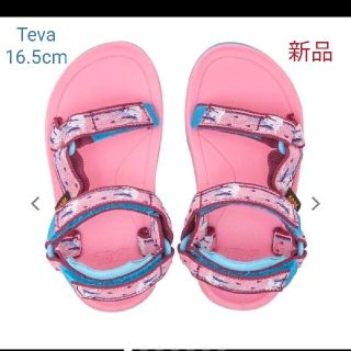 テバ(Teva)の新品TEVA テバ サンダル HURRICANE X LT 2 (16.5cm)(サンダル)