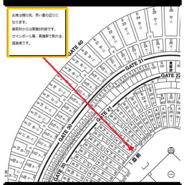 ジャイアンツ3列目‼︎超良席8月25日(金)巨人vs阪神2枚