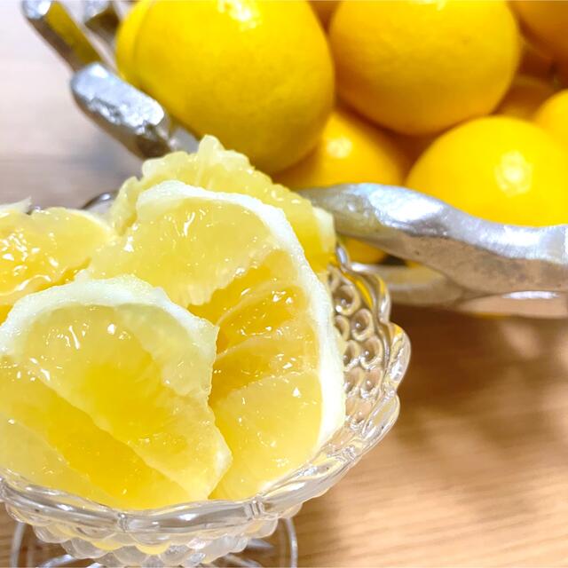 小玉土佐小夏約1kg コンパクト | energysource.com.br