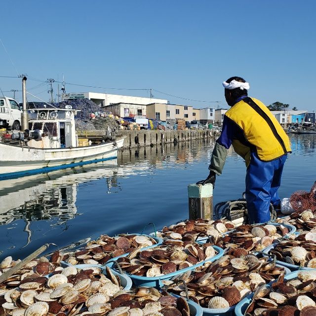 【夏ギフト】青森県産　蒸しほたて（２キロ） 食品/飲料/酒の食品(魚介)の商品写真