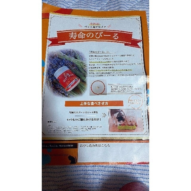 寿命のびーる　ペットサプリ　5個セット その他のペット用品(ペットフード)の商品写真