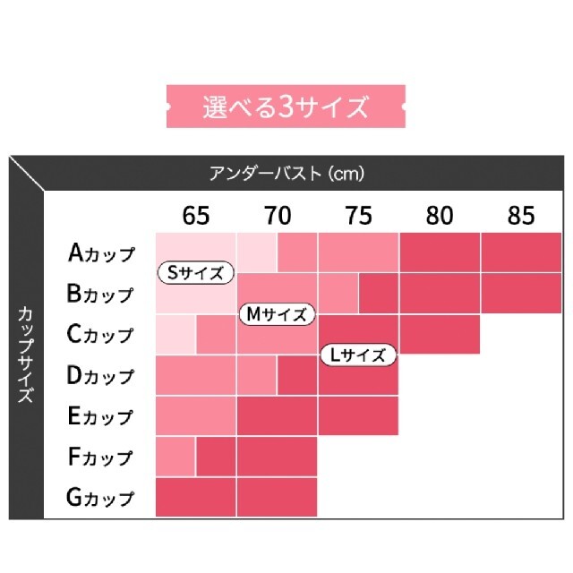 GYDA - 2枚 AGARISM アガリズム ナイトブラ Mサイズ 正規品 GYDAの通販 ...