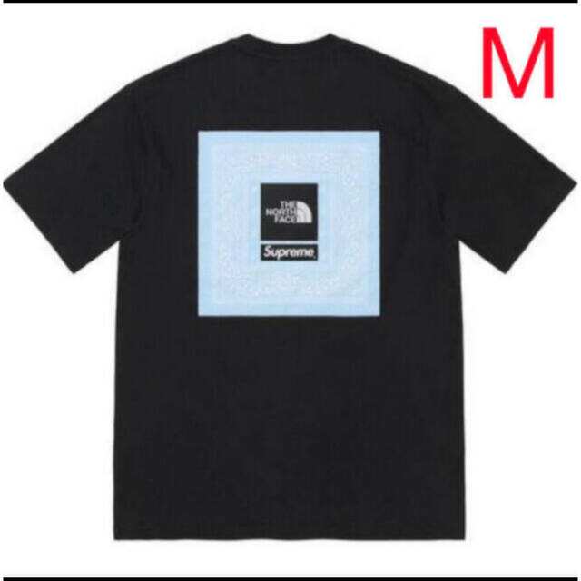 トップスSupreme the north face bandana tee