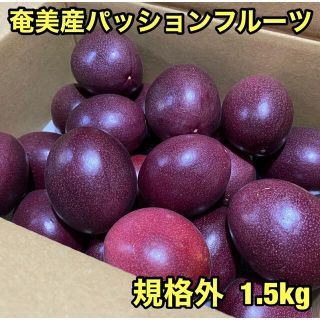 奄美産パッションフルーツ規格外1.５キロ(フルーツ)