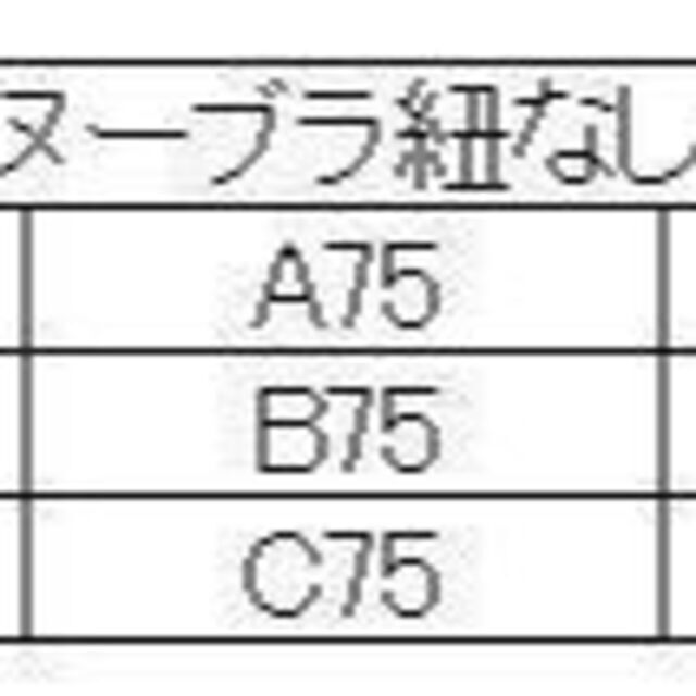 ヌーブラ　シリコンブラ　シームレス　激盛り　薄型　ひもなし　A　ブラック レディースの下着/アンダーウェア(ヌーブラ)の商品写真