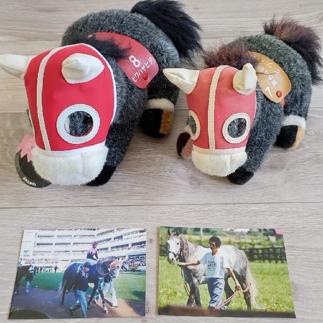 マオ様専用 ビワハヤヒデ ぬいぐるみ 3頭セット おまけの写真付きの