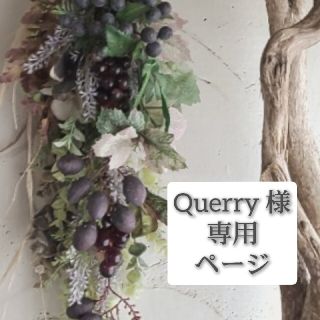 Querry 様 専用ページ(その他)