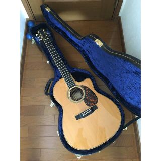 マーティン(Martin)のLarrivee LV-09  L.R.Baggs Anthem 付　美品❗️(アコースティックギター)