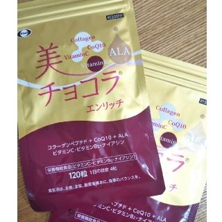 エーザイ(Eisai)のエーザイ 美チョコラエンリッチ 120粒 ×2袋(ビタミン)