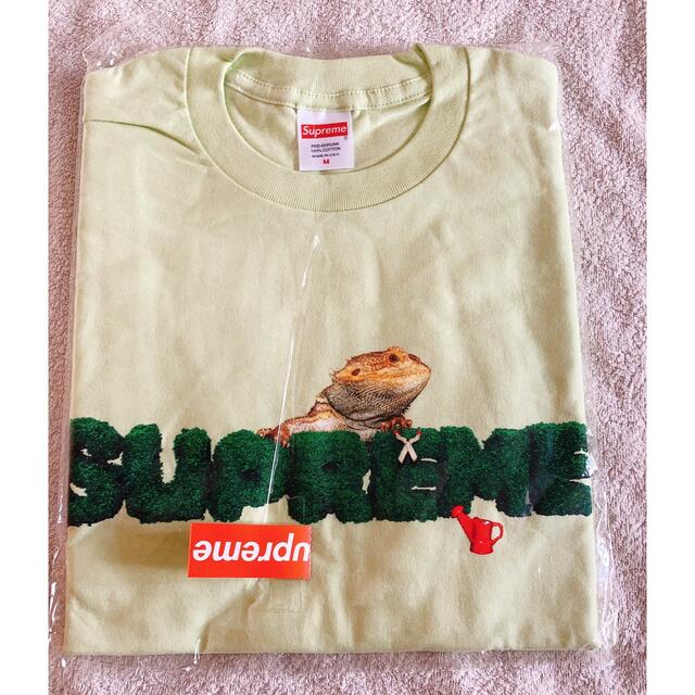 Supreme(シュプリーム)のsupreme Lizard Tee メンズのトップス(Tシャツ/カットソー(半袖/袖なし))の商品写真