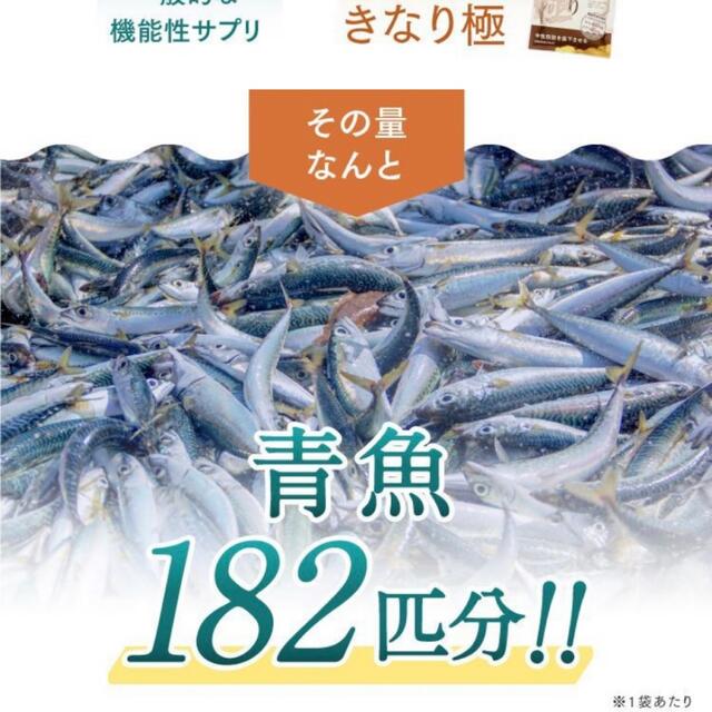 きなり極　５袋　大特価！