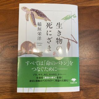 生き物の死にざま(その他)