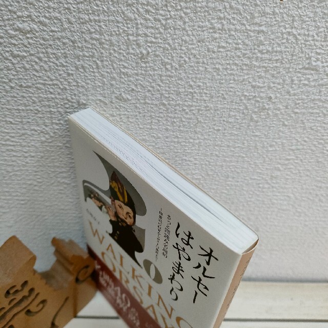 『 オルセーはやまわり さっと深読み名画40 』 ★ 画商 有地京子 エンタメ/ホビーの本(アート/エンタメ)の商品写真