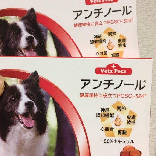 犬用アンチノール 60粒 2箱