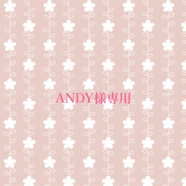 ANDY様専用ページの通販 by mom.🌼｜ラクマ