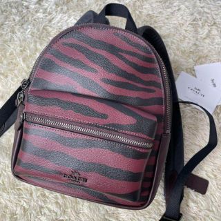 美品✨ COACH 海外限定 ミニリュック タイガー ボルドー F37880